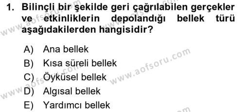 Temel Bilgi Teknolojileri 1 Dersi 2023 - 2024 Yılı Yaz Okulu Sınavı 1. Soru