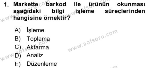 Temel Bilgi Teknolojileri 1 Dersi 2024 - 2025 Yılı (Vize) Ara Sınavı 1. Soru