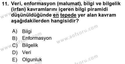 Temel Bilgi Teknolojileri 1 Dersi 2024 - 2025 Yılı (Vize) Ara Sınavı 11. Soru