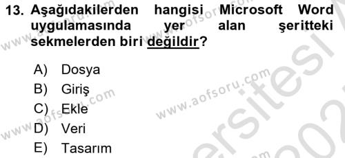 Temel Bilgi Teknolojileri 1 Dersi 2024 - 2025 Yılı (Vize) Ara Sınavı 13. Soru