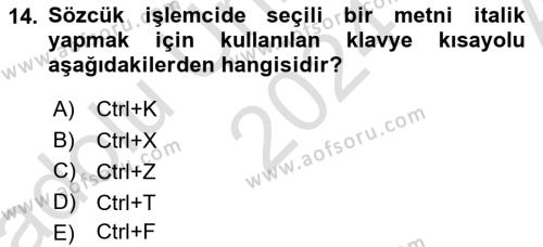 Temel Bilgi Teknolojileri 1 Dersi 2024 - 2025 Yılı (Vize) Ara Sınavı 14. Soru