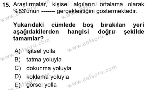 Temel Bilgi Teknolojileri 1 Dersi 2024 - 2025 Yılı (Vize) Ara Sınavı 15. Soru