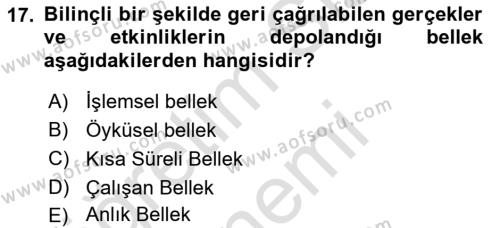 Temel Bilgi Teknolojileri 1 Dersi 2024 - 2025 Yılı (Vize) Ara Sınavı 17. Soru