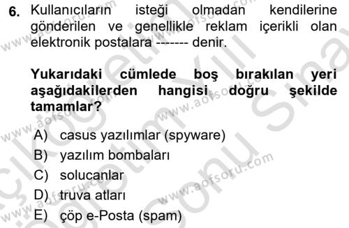 Temel Bilgi Teknolojileri 2 Dersi 2023 - 2024 Yılı (Final) Dönem Sonu Sınavı 6. Soru