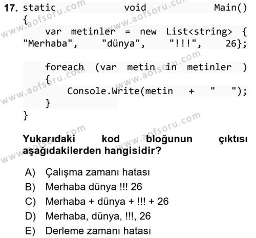 Programlama 1 Dersi 2023 - 2024 Yılı (Final) Dönem Sonu Sınavı 17. Soru