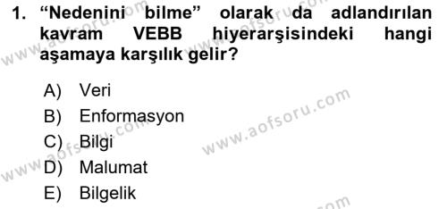 Temel Bilgi Teknolojileri Dersi 2023 - 2024 Yılı Yaz Okulu Sınavı 1. Soru