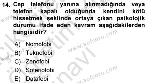 Temel Bilgi Teknolojileri Dersi 2023 - 2024 Yılı Yaz Okulu Sınavı 14. Soru