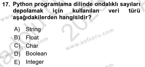 Programlama 2 Dersi 2023 - 2024 Yılı (Vize) Ara Sınavı 17. Soru