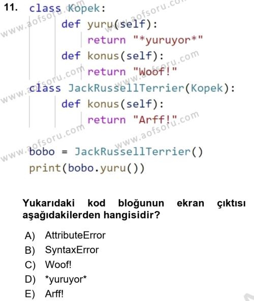 Programlama 2 Dersi 2023 - 2024 Yılı (Final) Dönem Sonu Sınavı 11. Soru