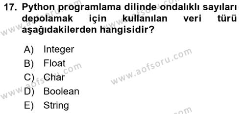 Programlama 2 Dersi 2024 - 2025 Yılı (Vize) Ara Sınavı 17. Soru