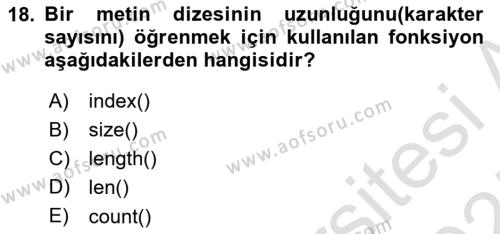 Programlama 2 Dersi 2024 - 2025 Yılı (Vize) Ara Sınavı 18. Soru