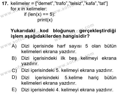 Algoritmalar Dersi 2023 - 2024 Yılı (Vize) Ara Sınavı 17. Soru