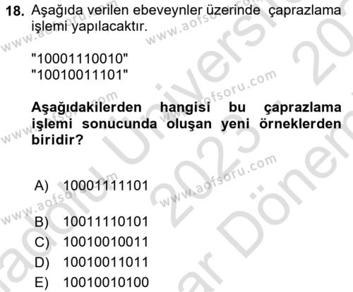 Algoritmalar Dersi 2023 - 2024 Yılı (Final) Dönem Sonu Sınavı 18. Soru