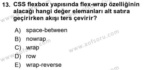 Web Arayüz Programlama Dersi 2022 - 2023 Yılı (Vize) Ara Sınavı 13. Soru