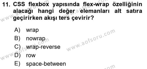 Web Arayüz Programlama Dersi 2023 - 2024 Yılı (Vize) Ara Sınavı 11. Soru