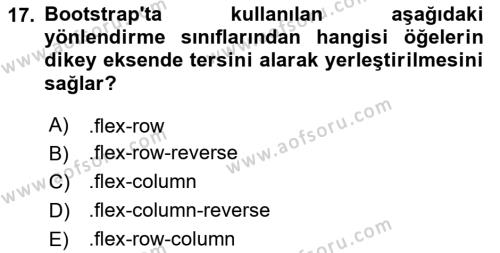 Web Arayüz Programlama Dersi 2024 - 2025 Yılı (Vize) Ara Sınavı 17. Soru
