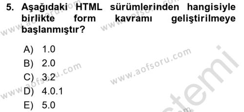 Web Arayüz Programlama Dersi 2024 - 2025 Yılı (Vize) Ara Sınavı 5. Soru