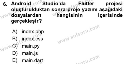 Mobil Uygulama Geliştirme Dersi 2022 - 2023 Yılı Yaz Okulu Sınavı 6. Soru