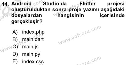 Mobil Uygulama Geliştirme Dersi 2023 - 2024 Yılı (Vize) Ara Sınavı 14. Soru