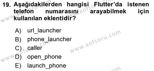 Mobil Uygulama Geliştirme Dersi 2023 - 2024 Yılı (Final) Dönem Sonu Sınavı 19. Soru