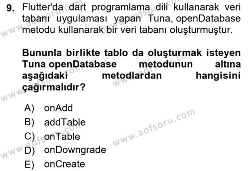 Mobil Uygulama Geliştirme Dersi 2023 - 2024 Yılı (Final) Dönem Sonu Sınavı 9. Soru