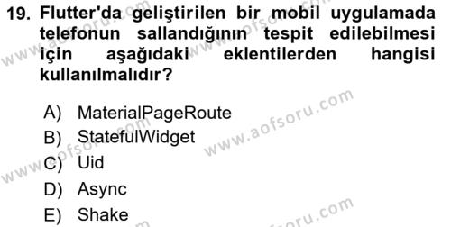 Mobil Uygulama Geliştirme Dersi 2023 - 2024 Yılı Yaz Okulu Sınavı 19. Soru