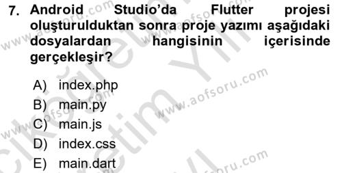 Mobil Uygulama Geliştirme Dersi 2023 - 2024 Yılı Yaz Okulu Sınavı 7. Soru