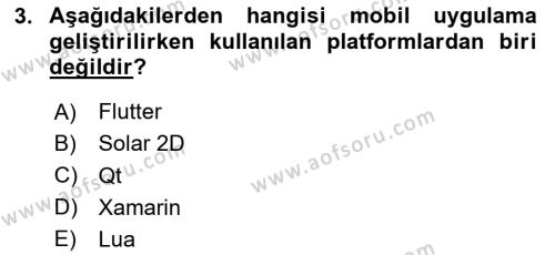 Mobil Uygulama Geliştirme Dersi 2024 - 2025 Yılı (Vize) Ara Sınavı 3. Soru