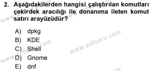 Unix Sistem Yönetimi Dersi 2024 - 2025 Yılı (Vize) Ara Sınavı 2. Soru