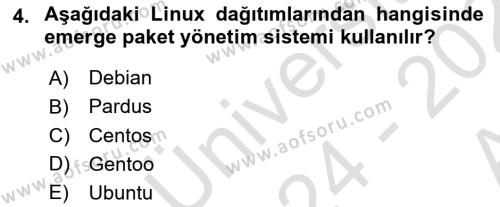 Unix Sistem Yönetimi Dersi 2024 - 2025 Yılı (Vize) Ara Sınavı 4. Soru