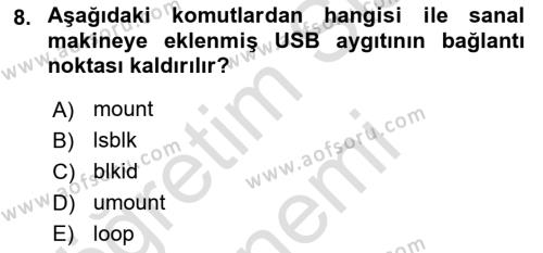 Unix Sistem Yönetimi Dersi 2024 - 2025 Yılı (Vize) Ara Sınavı 8. Soru