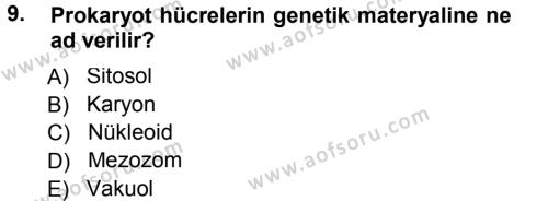 Genel Biyoloji 1 Dersi 2012 - 2013 Yılı (Final) Dönem Sonu Sınavı 9. Soru