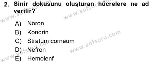 Genel Biyoloji 2 Dersi 2017 - 2018 Yılı (Vize) Ara Sınavı 2. Soru