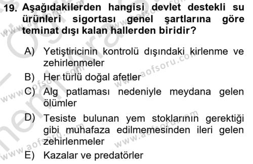 Hayat Dışı Sigortalar Dersi 2021 - 2022 Yılı (Vize) Ara Sınavı 19. Soru