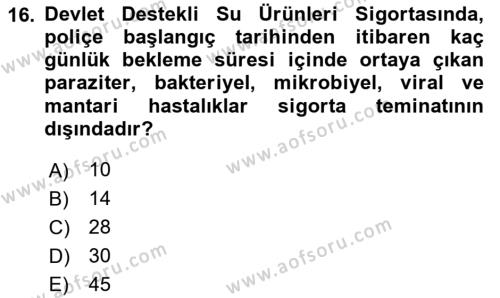 Hayat Dışı Sigortalar Dersi 2023 - 2024 Yılı (Vize) Ara Sınavı 16. Soru