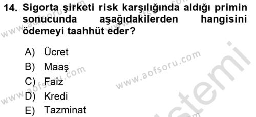 Banka ve Sigorta Muhasebesine Giriş Dersi 2021 - 2022 Yılı (Final) Dönem Sonu Sınavı 14. Soru