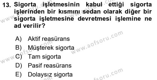 Banka ve Sigorta Muhasebesine Giriş Dersi 2022 - 2023 Yılı Yaz Okulu Sınavı 13. Soru