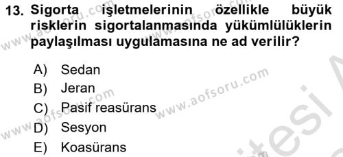 Banka ve Sigorta Muhasebesine Giriş Dersi 2023 - 2024 Yılı (Final) Dönem Sonu Sınavı 13. Soru