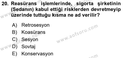 Banka ve Sigorta Muhasebesine Giriş Dersi 2023 - 2024 Yılı (Final) Dönem Sonu Sınavı 20. Soru