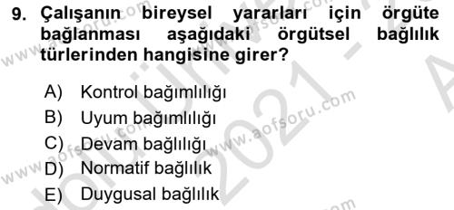 Bürolarda Temel Kavramlar Dersi 2021 - 2022 Yılı (Vize) Ara Sınavı 9. Soru