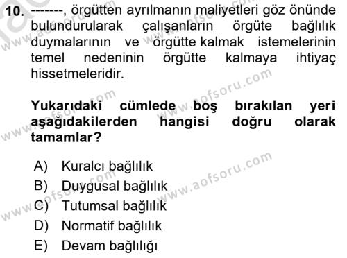 Bürolarda Temel Kavramlar Dersi 2022 - 2023 Yılı (Vize) Ara Sınavı 10. Soru