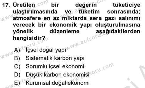 İş Hayatında Standartlar Dersi 2023 - 2024 Yılı (Vize) Ara Sınavı 17. Soru