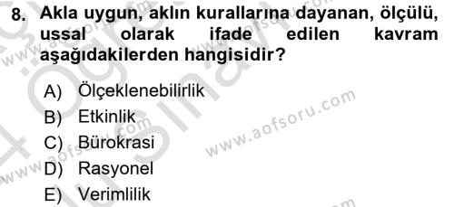 Dosyalama Arşivleme Dersi 2023 - 2024 Yılı Yaz Okulu Sınavı 8. Soru