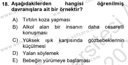 İş Ortamında Protokol Ve Davranış Kuralları Dersi 2023 - 2024 Yılı (Vize) Ara Sınavı 18. Soru