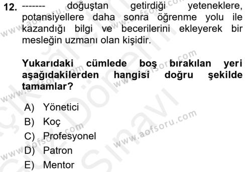 Yönetici Asistanlığı Dersi 2018 - 2019 Yılı (Final) Dönem Sonu Sınavı 12. Soru