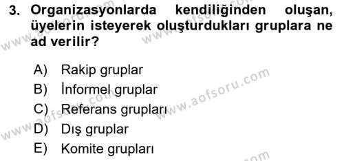 Ekip Yönetimi ve Liderlik Dersi 2021 - 2022 Yılı (Vize) Ara Sınavı 3. Soru