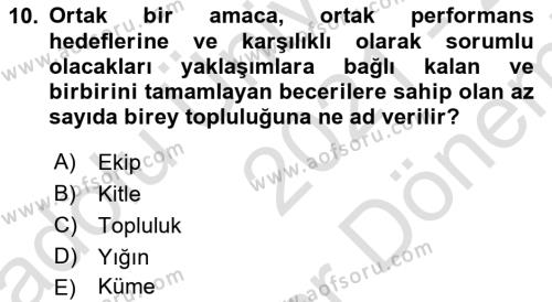 Ekip Yönetimi ve Liderlik Dersi 2021 - 2022 Yılı (Final) Dönem Sonu Sınavı 10. Soru