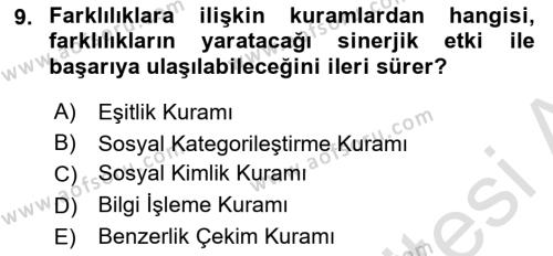 Ekip Yönetimi ve Liderlik Dersi 2021 - 2022 Yılı (Final) Dönem Sonu Sınavı 9. Soru