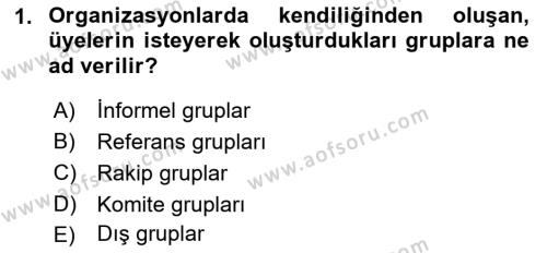 Ekip Yönetimi ve Liderlik Dersi 2021 - 2022 Yılı Yaz Okulu Sınavı 1. Soru