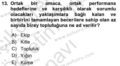 Ekip Yönetimi ve Liderlik Dersi 2021 - 2022 Yılı Yaz Okulu Sınavı 13. Soru